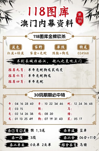 新澳门四肖三肖必开精准,功能性操作方案制定_定制版8.213