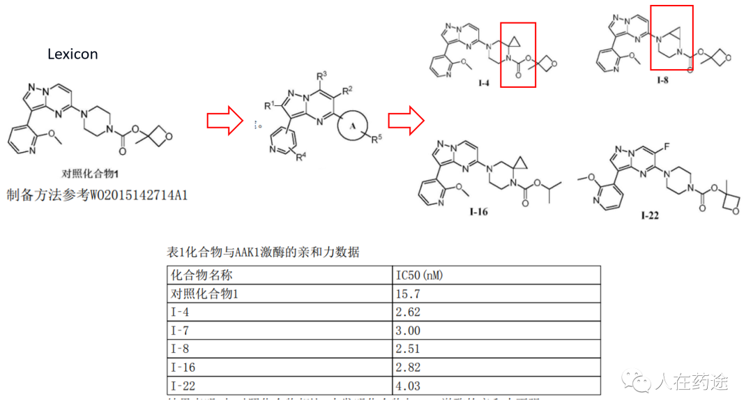 税燕子 第2页