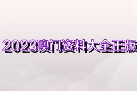 2023澳门正版免费资料,决策资料解释落实_精简版105.220