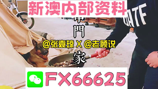 新澳门管家婆资料大全,正确解答落实_动态版2.238