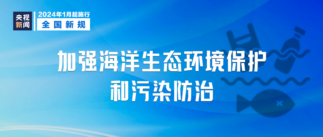 2024年新奥正版资料免费大全,问题解决解析落实_纪念型55.48