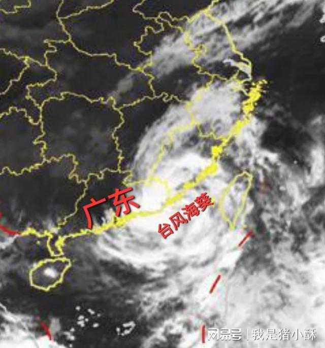 台风最新消息，烟花动态更新报告（截至XX月XX日）